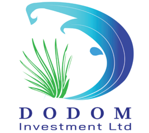 Dodom Logo